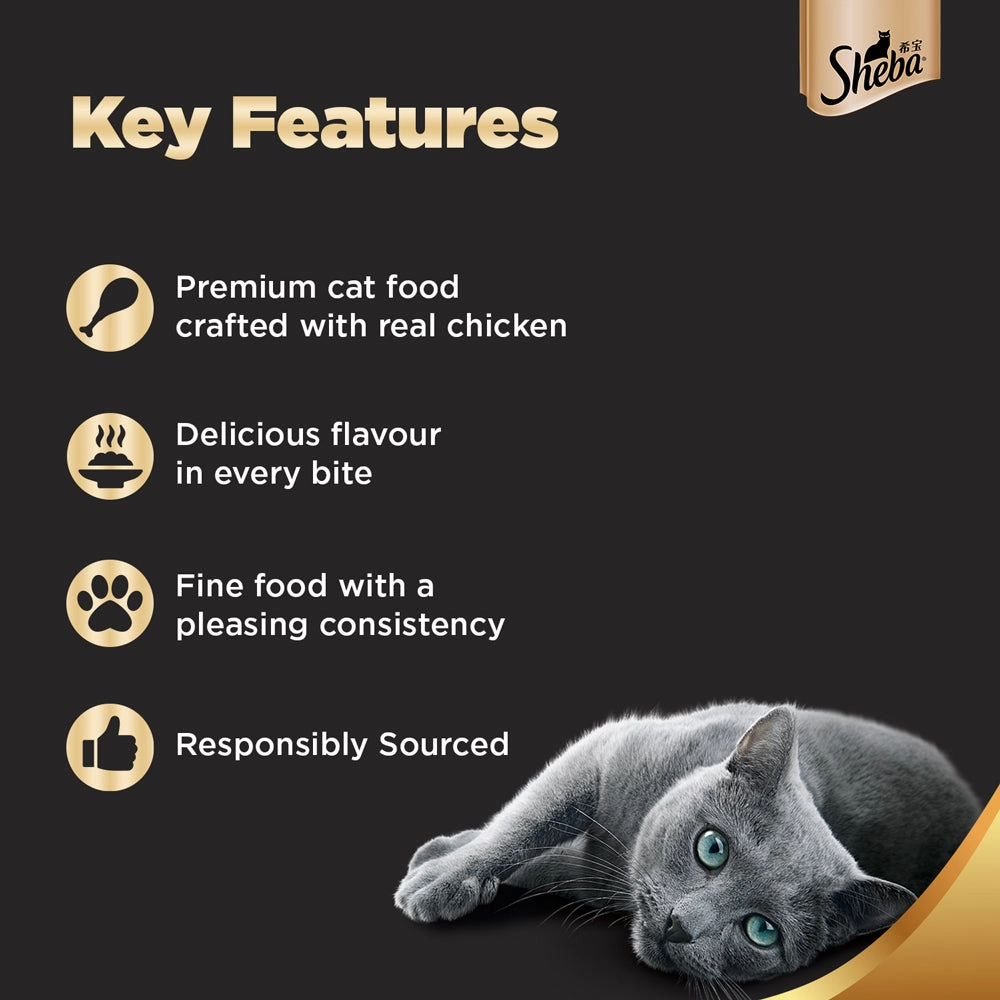 Sheba Chicken Loaf Rich Premium Kitten (2 to 12 Months) Fine Wet Food and Irresistible All Life Stage Cat Dry Food Combo