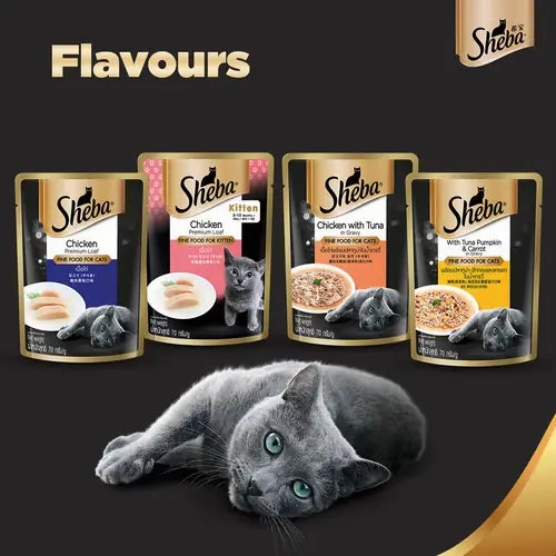 Sheba Chicken With Tuna In Gravy Rich Premium Adult Fine Wet Food and Chicken Flavour Irresistible All Life Stage Cat Dry Food Combo