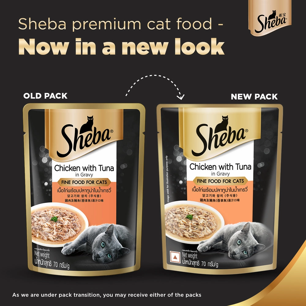 Sheba Chicken With Tuna In Gravy Rich Premium Adult Fine Wet Food and Chicken Flavour Irresistible All Life Stage Cat Dry Food Combo