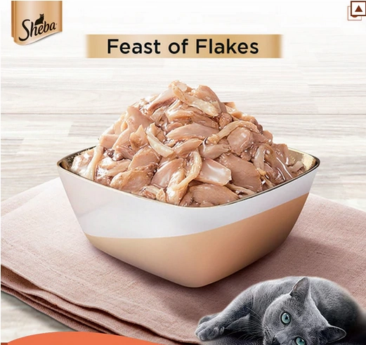 Sheba Fish with Sasami Premium Cat Wet Food and Salmon Flavour Irresistible All Life Stages Cat Dry Food Combo