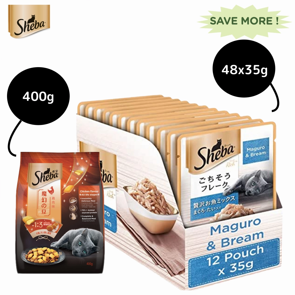 Sheba Maguro & Bream Fish Mix Premium Cat Wet Food Combo and Chicken Flavour Irresistible All Life Stage Cat Dry Food