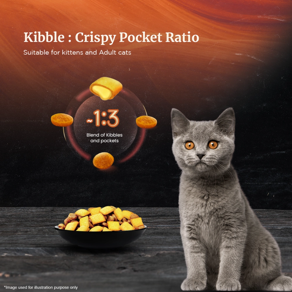 Sheba Maguro & Bream Fish Mix Premium Cat Wet Food Combo and Chicken Flavour Irresistible All Life Stage Cat Dry Food