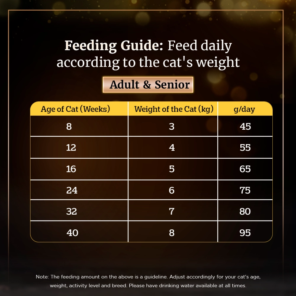 Sheba Maguro & Bream Fish Mix Premium Cat Wet Food Combo and Chicken Flavour Irresistible All Life Stage Cat Dry Food