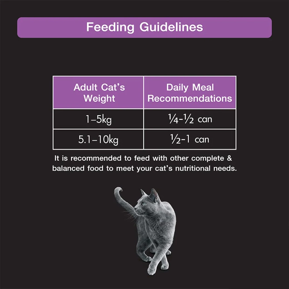 Sheba Pure Tuna Filets in Jelly Premium Cat Wet Food and Salmon Flavour Irresistible All Life Stages Cat Dry Food Combo
