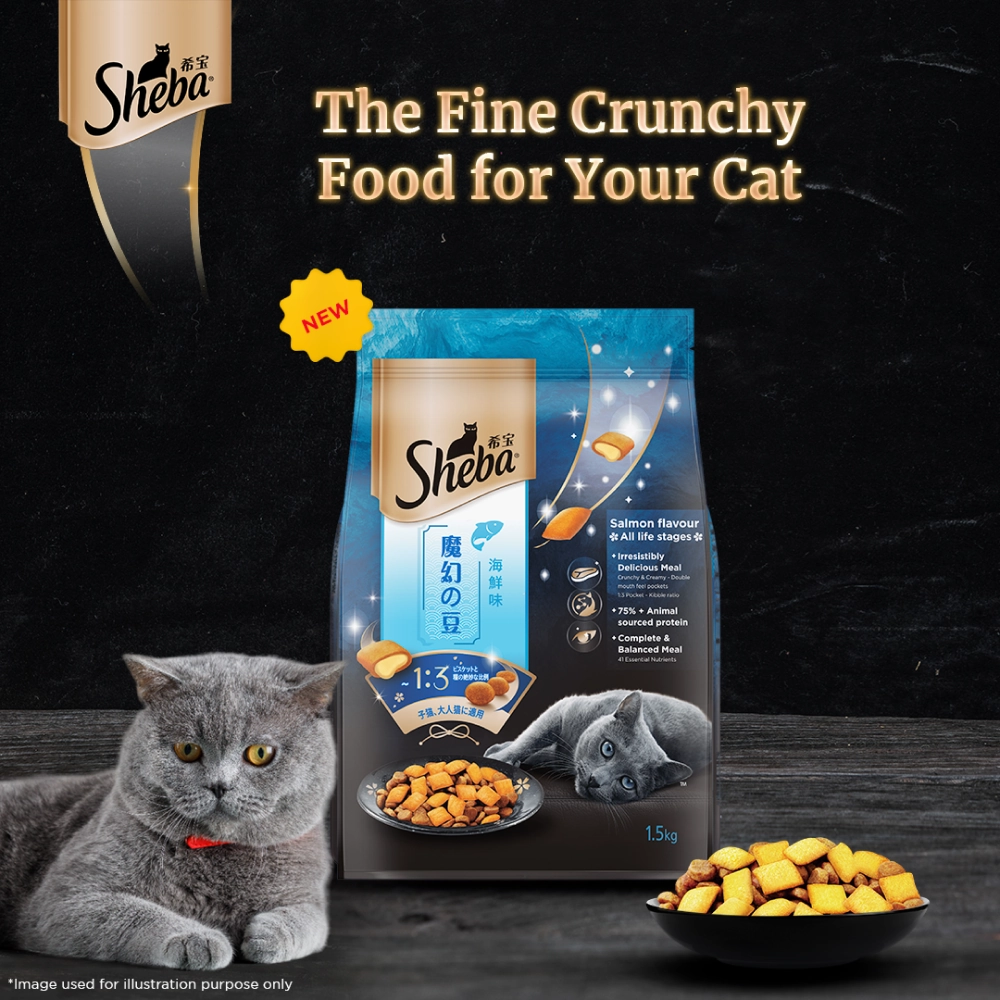 Sheba Pure Tuna Filets in Jelly Premium Cat Wet Food and Salmon Flavour Irresistible All Life Stages Cat Dry Food Combo