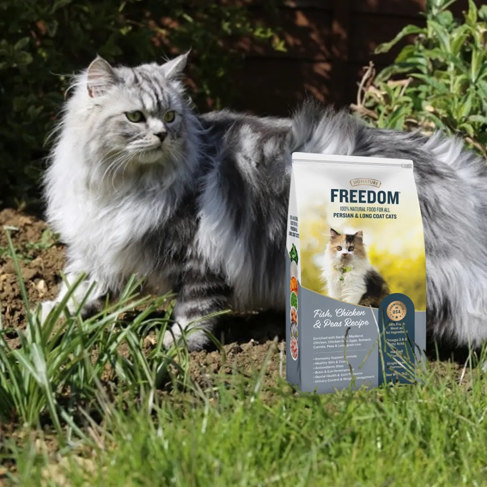 Signature Freedom Fish, Chicken and Peas Recipe Persian Cat Dry Food and Grain Zero Chicken and Liver Lickable Creamy Cat Treats Combo