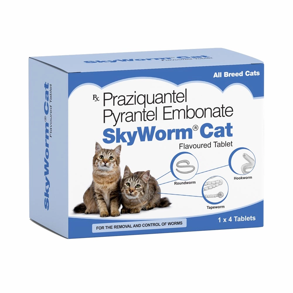 Skyec Skyworm Cat Deworming Tablet (pack of 4 tablets) and Intas Eazypet Dog Deworming Tablet (pack of 10 tablets) Combo