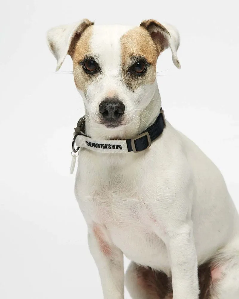 Sonia Dog Collar
