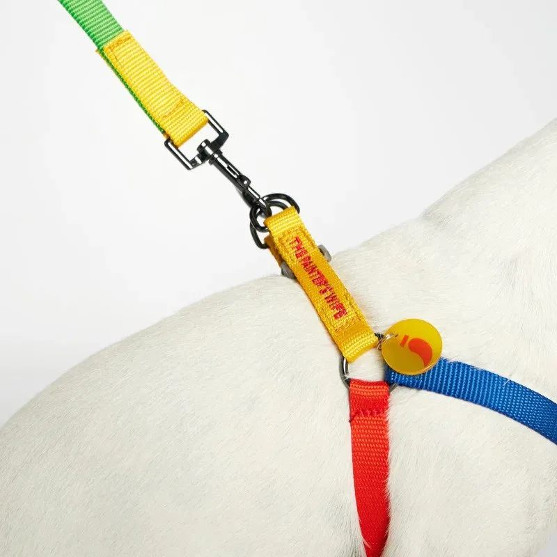 Sonia Dog Harness