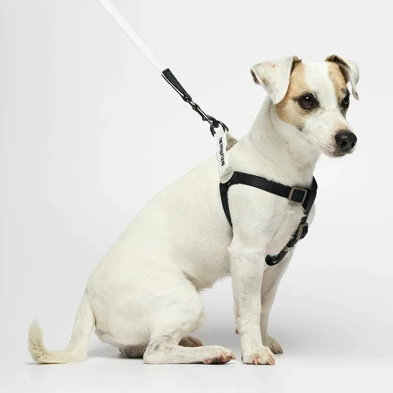 Sonia Dog Harness