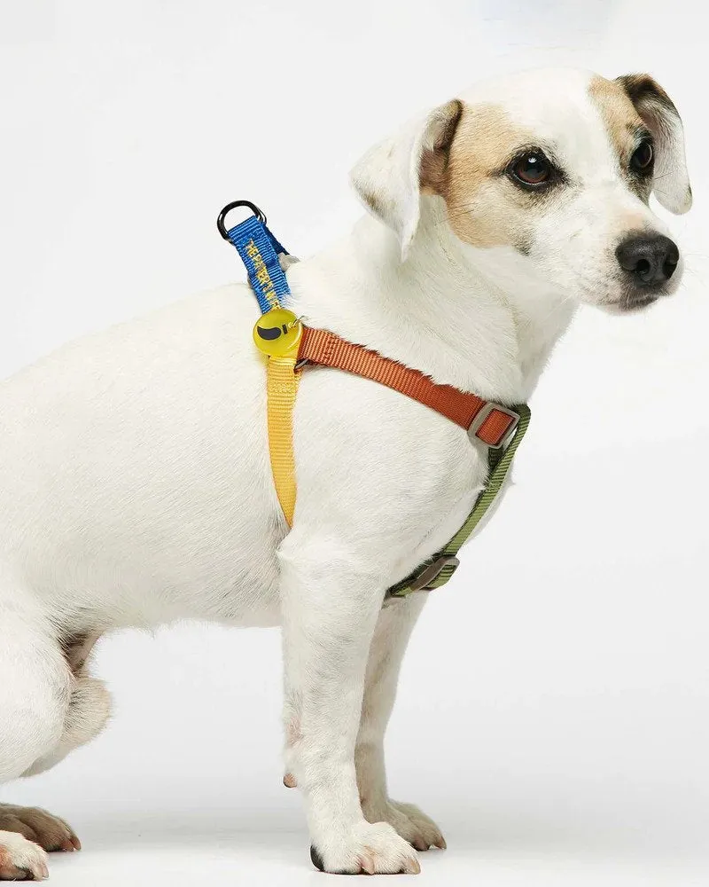 Sonia Dog Harness
