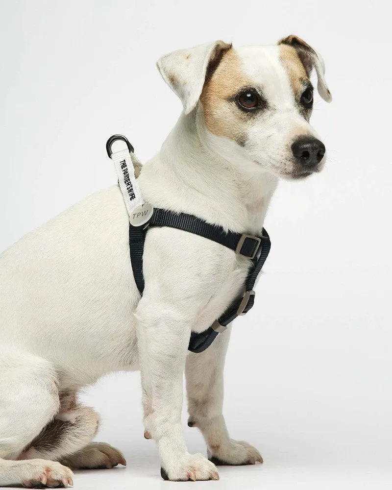Sonia Dog Harness