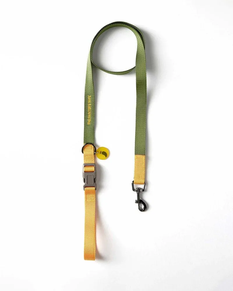 Sonia Dog Leash