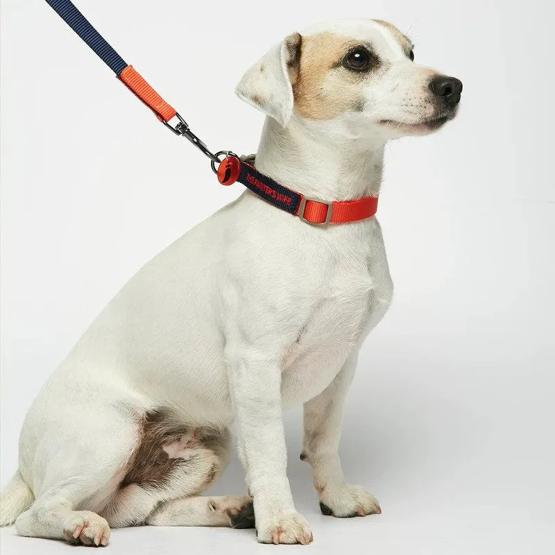 Sonia Dog Leash