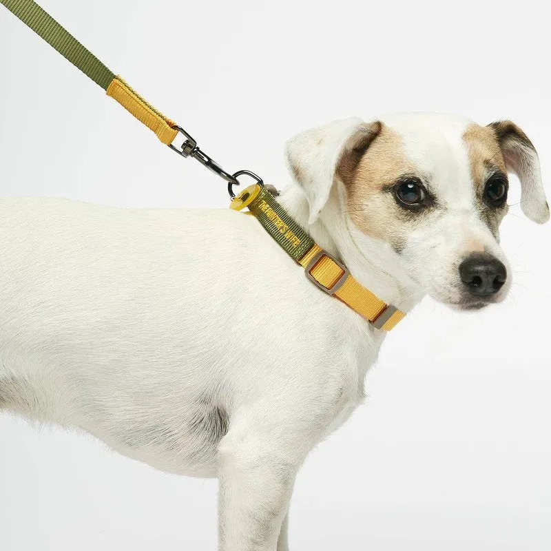 Sonia Dog Leash