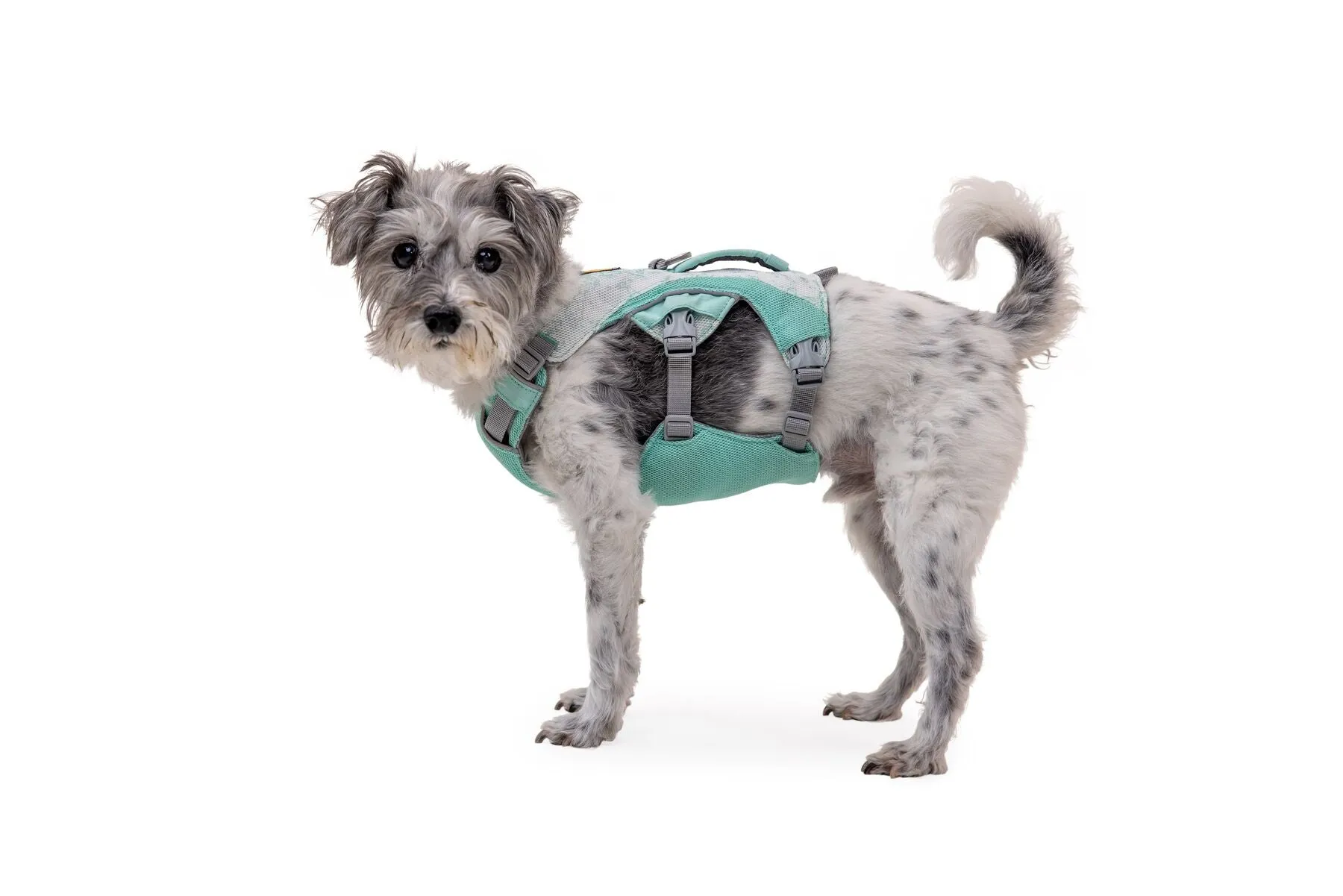 Swamp Cooler Dog Cooling Harness
