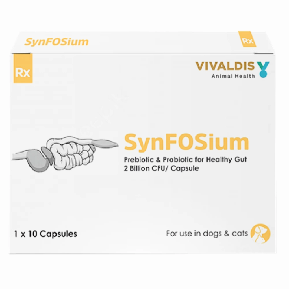 Synfosium Probiotic Capsule & Savavet Petsapp Appetite Booster Combo for Dogs & Cats