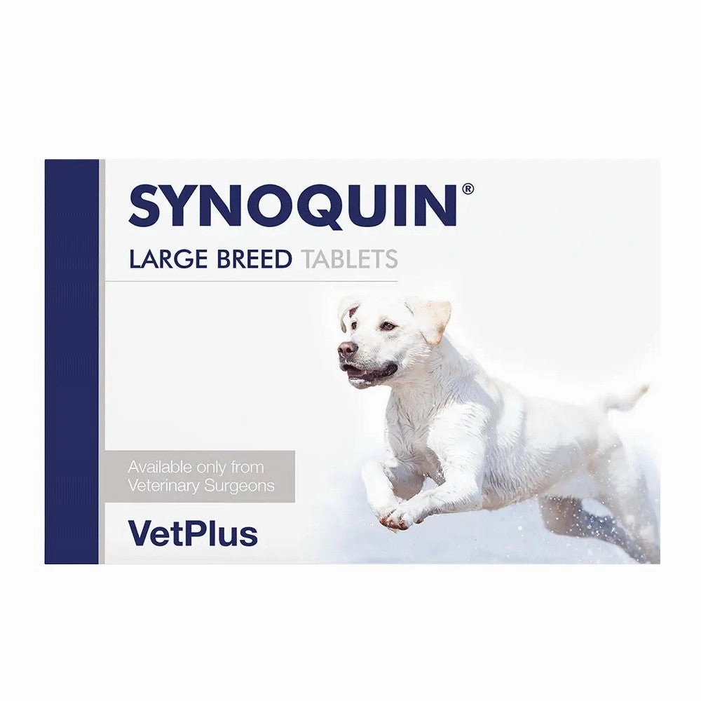 Synoquin for Dogs