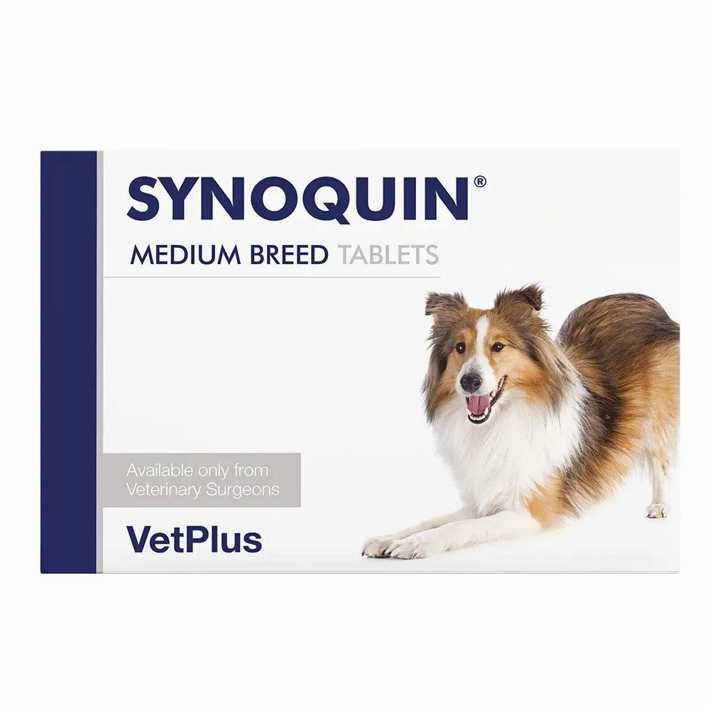 Synoquin for Dogs