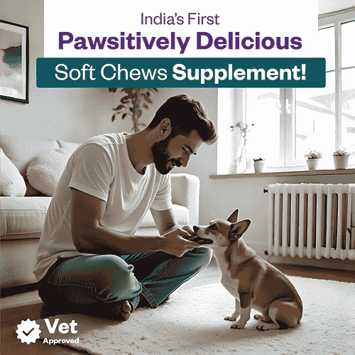 TailsAlive Calcium Chicken Flavor Soft Chews Supplements for Dogs