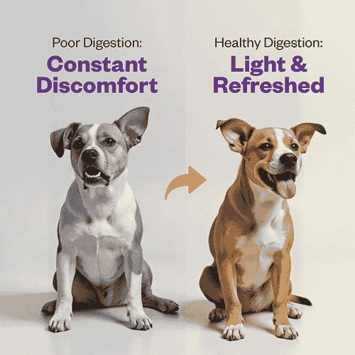 TailsAlive Probiotic Chicken Flavor Soft Chews Supplements for Dogs