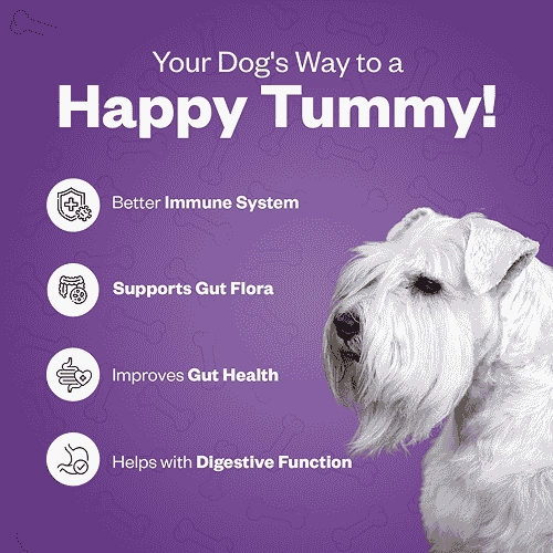 TailsAlive Probiotic Chicken Flavor Soft Chews Supplements for Dogs