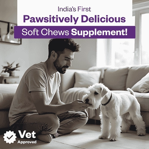 TailsAlive Probiotic Chicken Flavor Soft Chews Supplements for Dogs