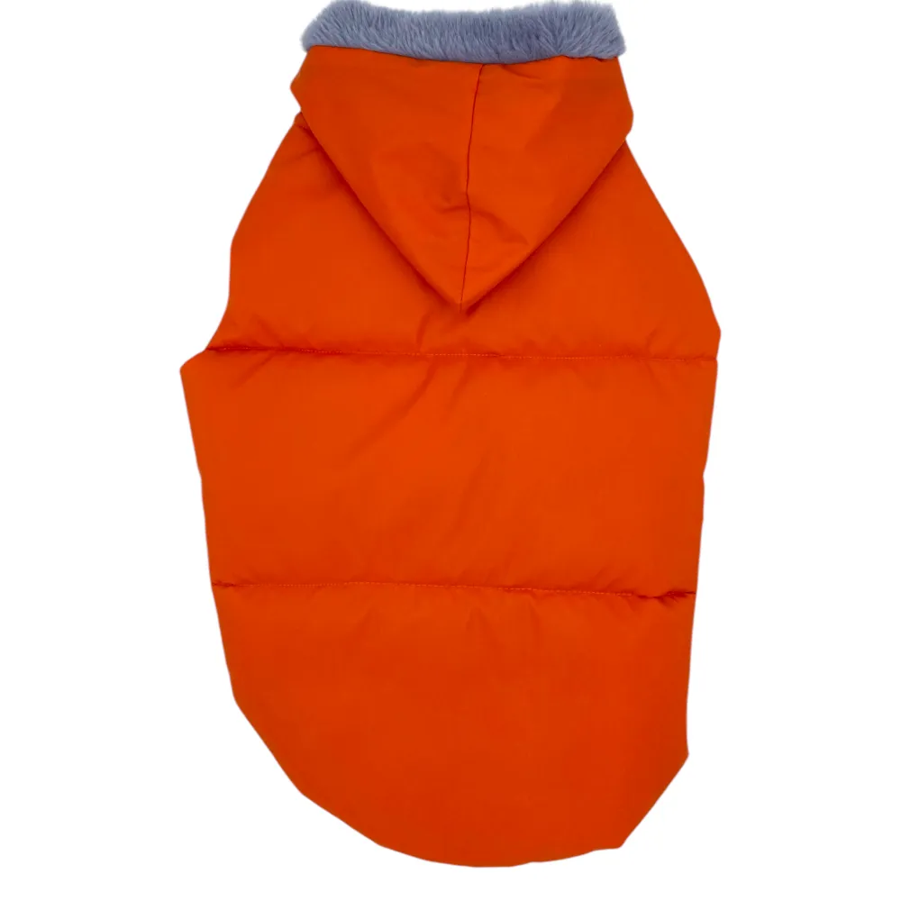Talking Dog Club Bomber Jacks Hoodies for Dogs (Orange)
