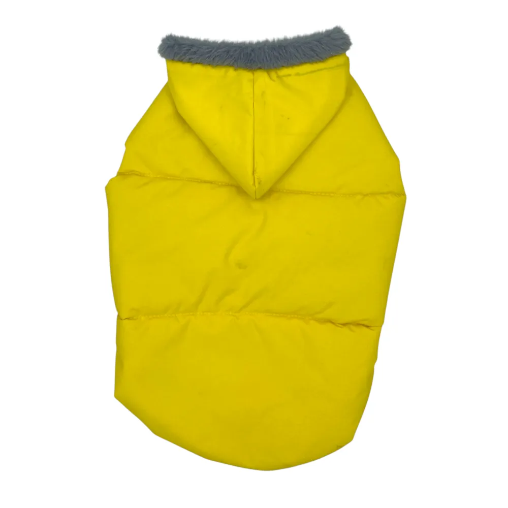 Talking Dog Club Bomber Jacks Hoodies for Dogs (Yellow)