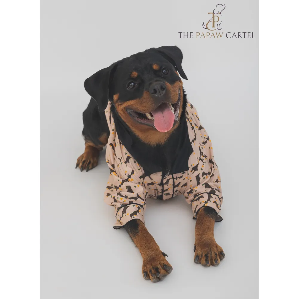 The Papaw Cartel Bat And Bunting Shirt With Bat Wing Collar for Dogs (Peach)
