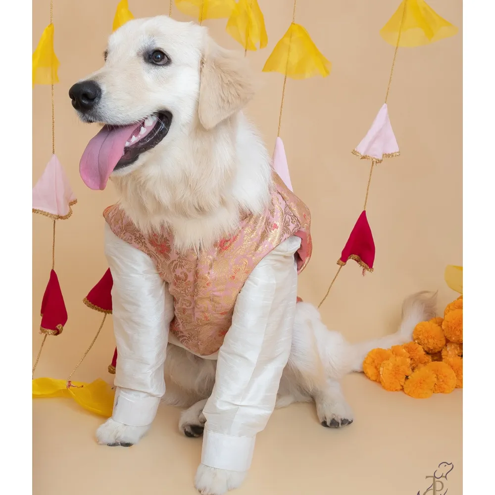 The Papaw Cartel Brocade Koti Kurta for Dog (Peach/Pink & Gold)