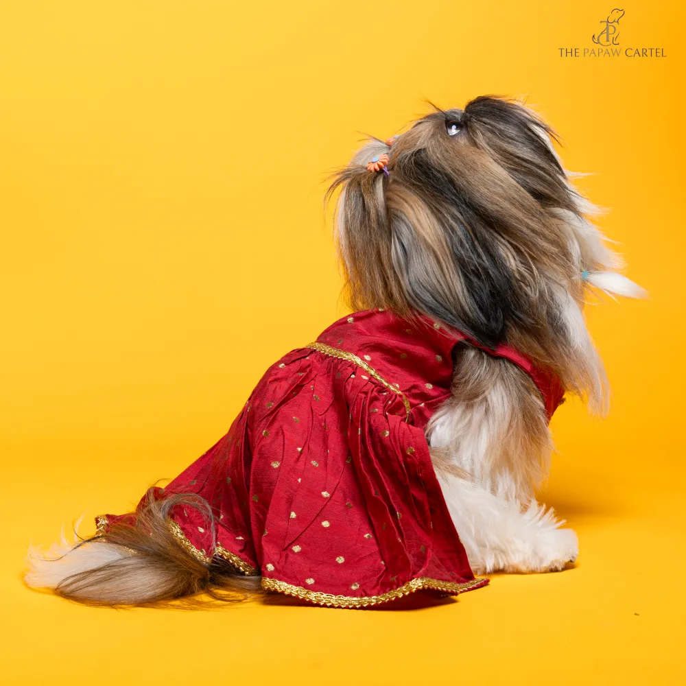 The Papaw Cartel Desi Girl in Banarasi Polka Dot Gown for Dogs (Red)