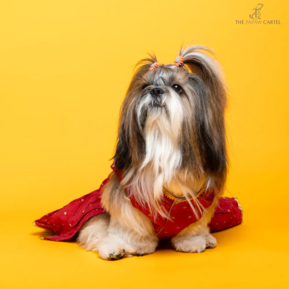 The Papaw Cartel Desi Girl in Banarasi Polka Dot Gown for Dogs (Red)