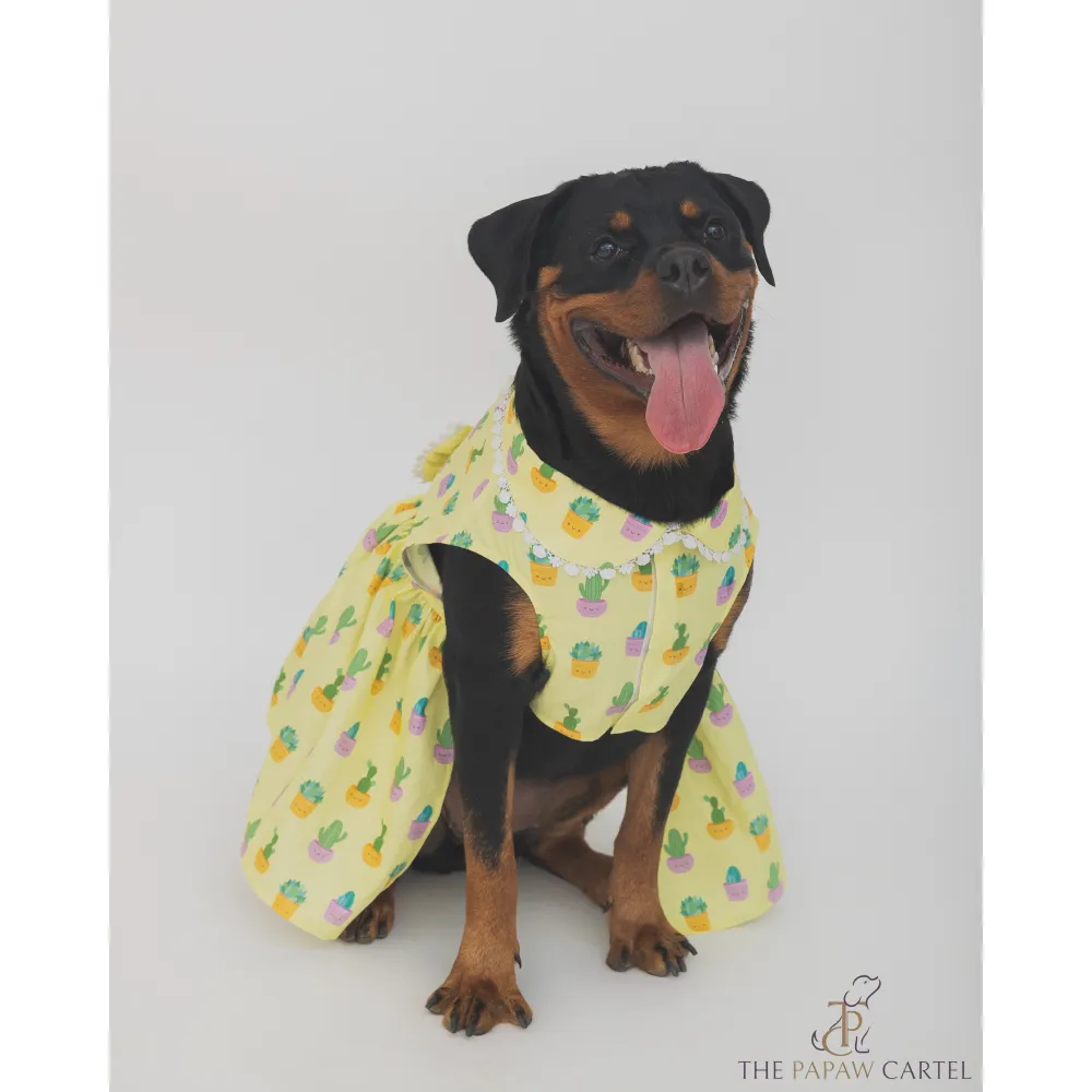 The Papaw Cartel Happy Cactus Dress for Dogs (Lime Yellow)