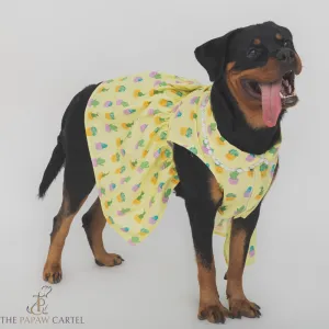The Papaw Cartel Happy Cactus Dress for Dogs (Lime Yellow)
