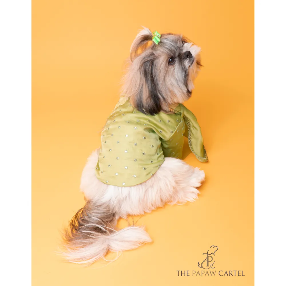 The Papaw Cartel Mirror Sherwani With Dupatta For Dogs (Chokos Green)