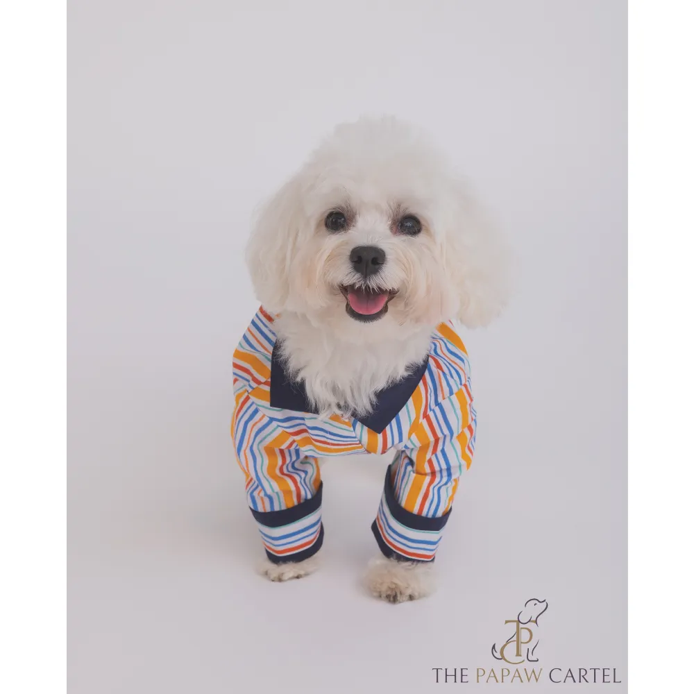 The Papaw Cartel Stripe Shirt for Dogs (Multicolor)