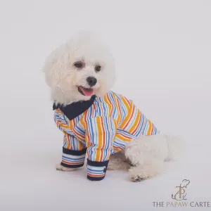 The Papaw Cartel Stripe Shirt for Dogs (Multicolor)