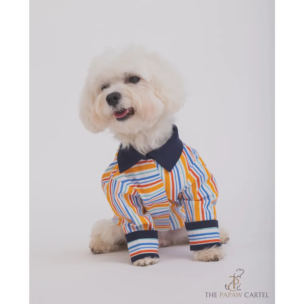 The Papaw Cartel Stripe Shirt for Dogs (Multicolor)