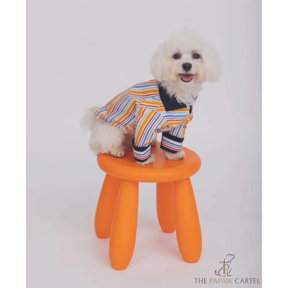 The Papaw Cartel Stripe Shirt for Dogs (Multicolor)