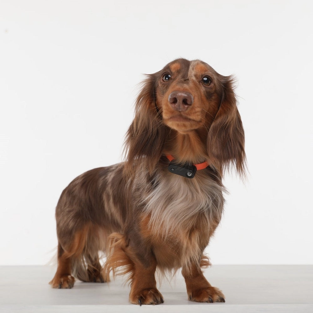 Tickless Mini Ultrasound Tick & Flea Repeller