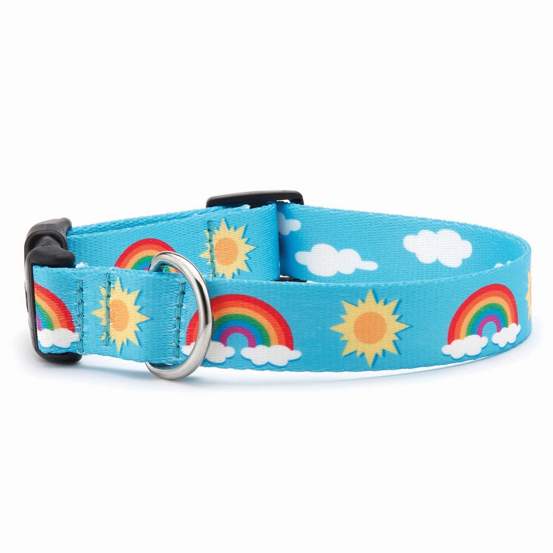 Up Country Rainbows & Sunshine Dog Collar