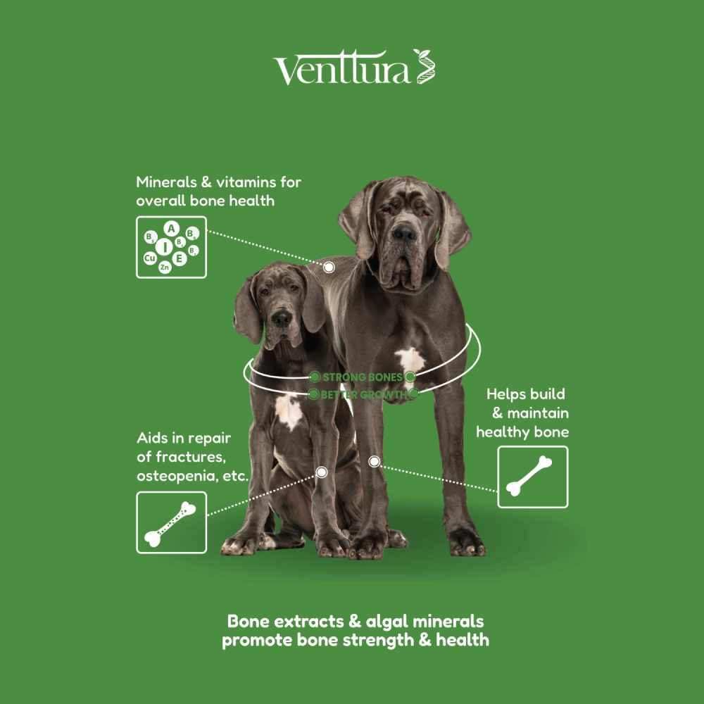 Venttura Calci Pro Plus Chewable Calcium Supplement Tablets for Dogs