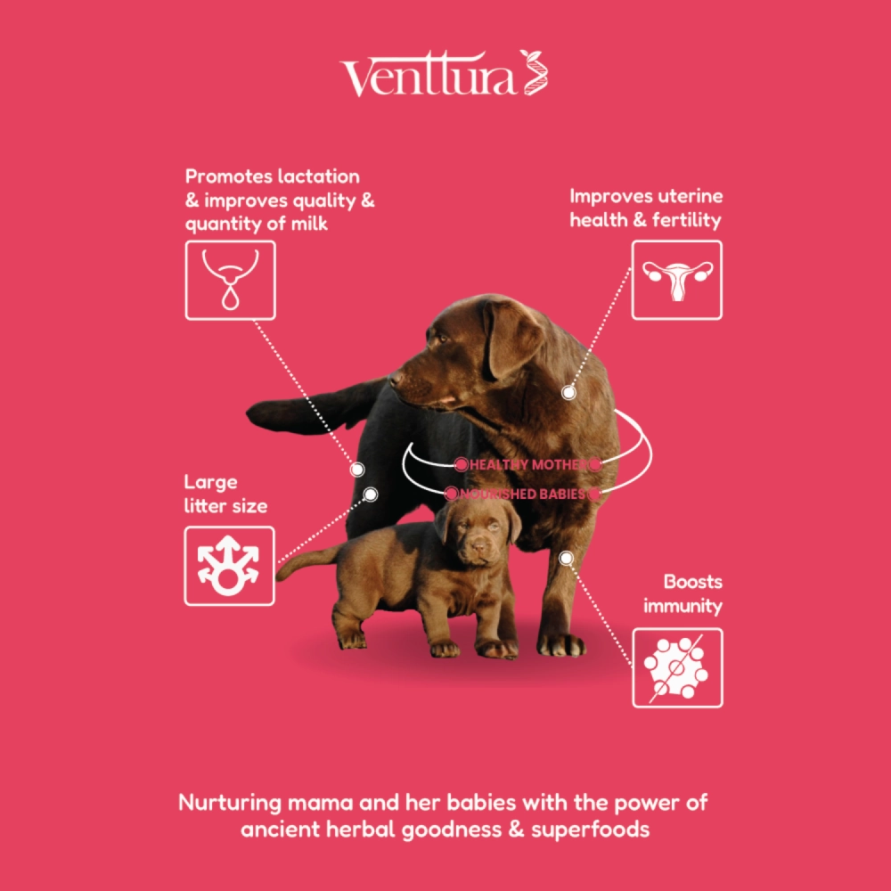 Venttura Lacto Plus Milk Boosters Chewable Tablets for Dogs