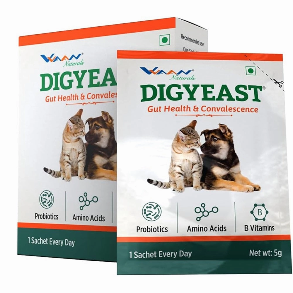 Vvaan Digyeast pouch for Dogs & Cats