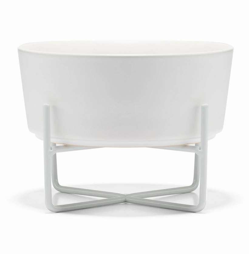 Waggo Simple Solid Dog Bowl   Stand