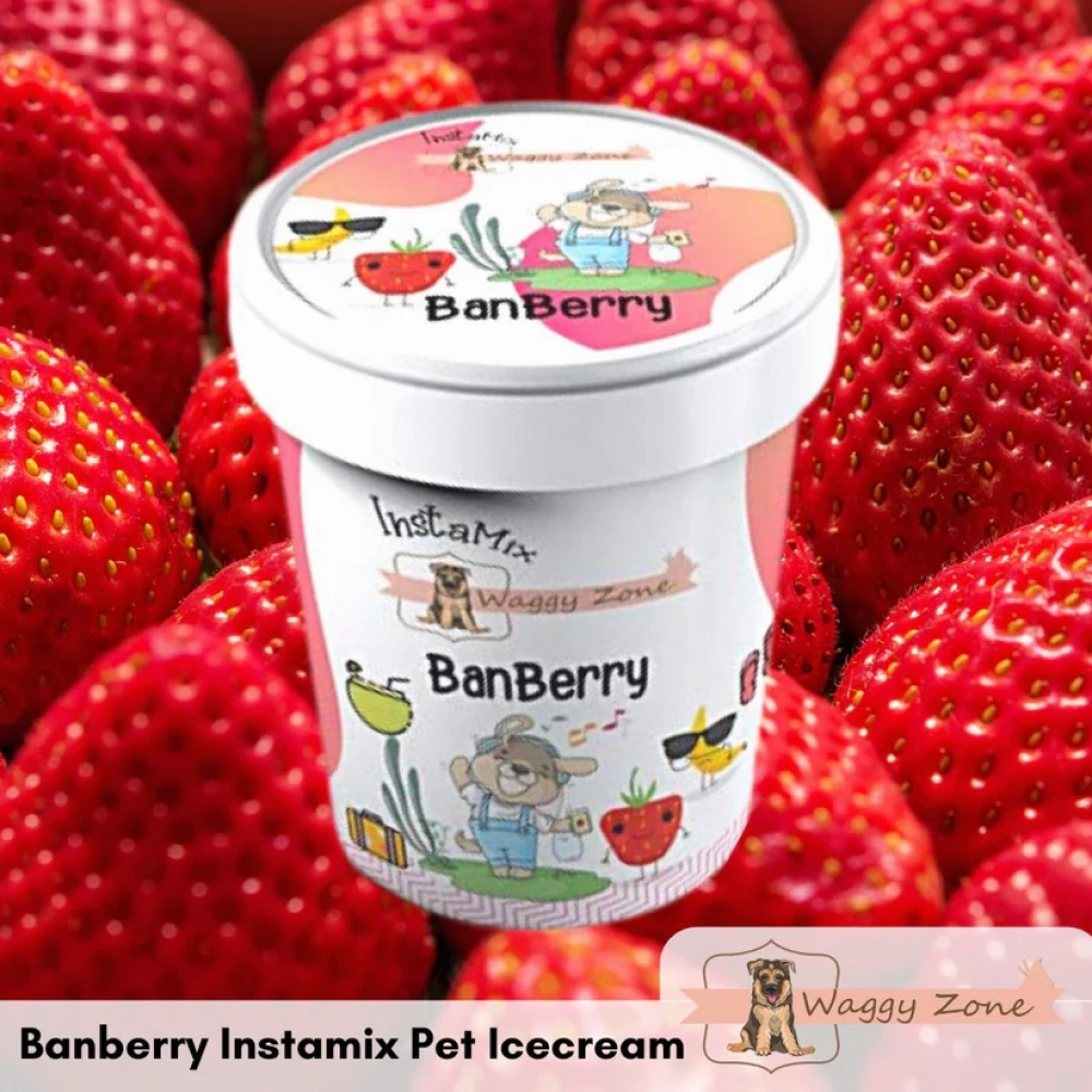 Waggy Zone Banberry Ice Cream for Pets
