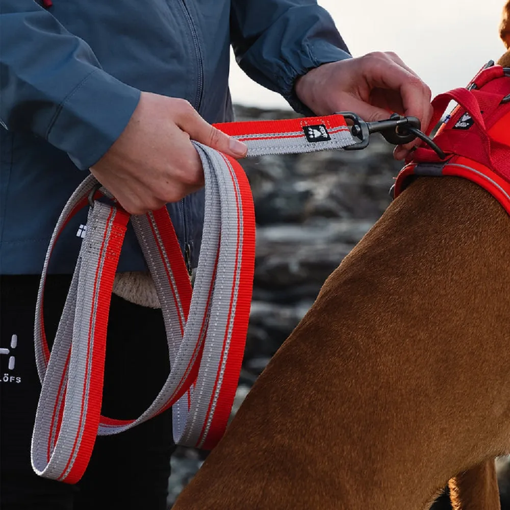 Weekend Warrior Dog ECO Leash