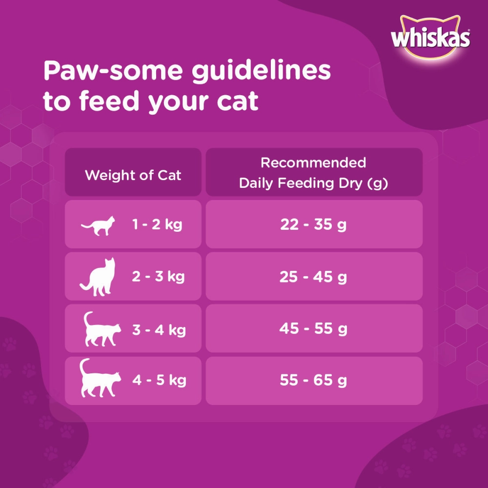Whiskas Ocean Fish and Tuna in Jelly Meal Adult Cat Wet and Dry Food Combo