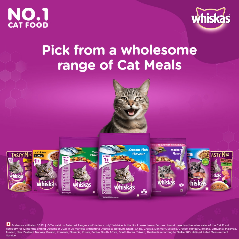 Whiskas Ocean Fish Flavour Adult Cat Dry and Wet Food Combo